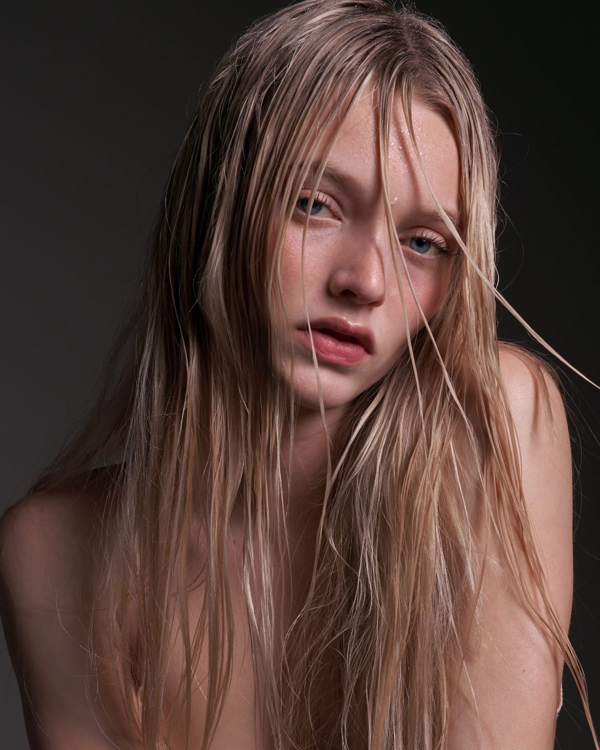 _dsc3024%e3%81%ae%e3%82%b3%e3%83%92%e3%82%9a%e3%83%bc